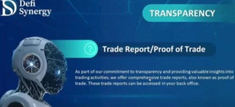 Defi Synergy official website