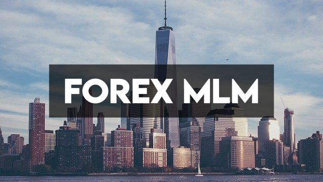 forex mlm