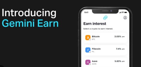 Gemini earn program