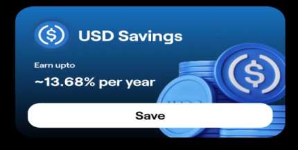 Pillow-Fund-Investment