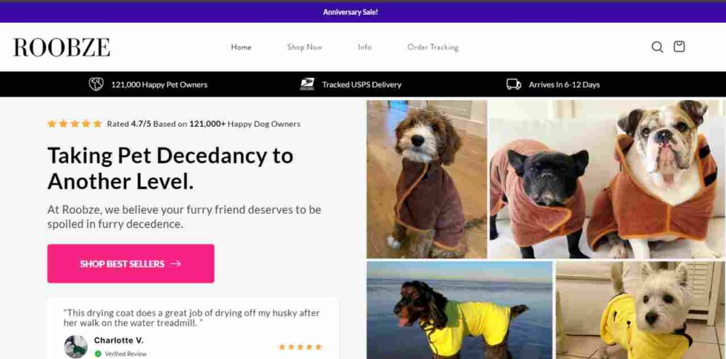 Roobze.com home page