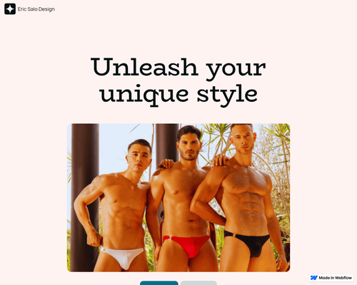 Eric-salo-design.webflow.io
